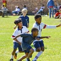 service-result-card-galley