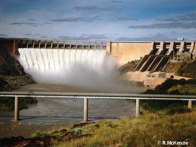 service-result-card-galley